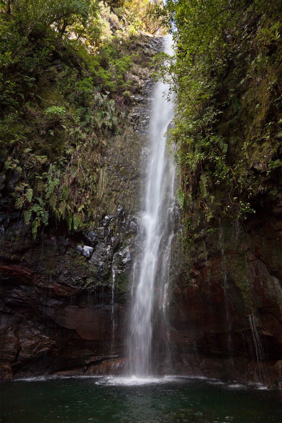 A single tall waterfall dropping down a dark red rock face into a deep green pool, with ferns and thick green growth hanging from the walls closing in on both sides.