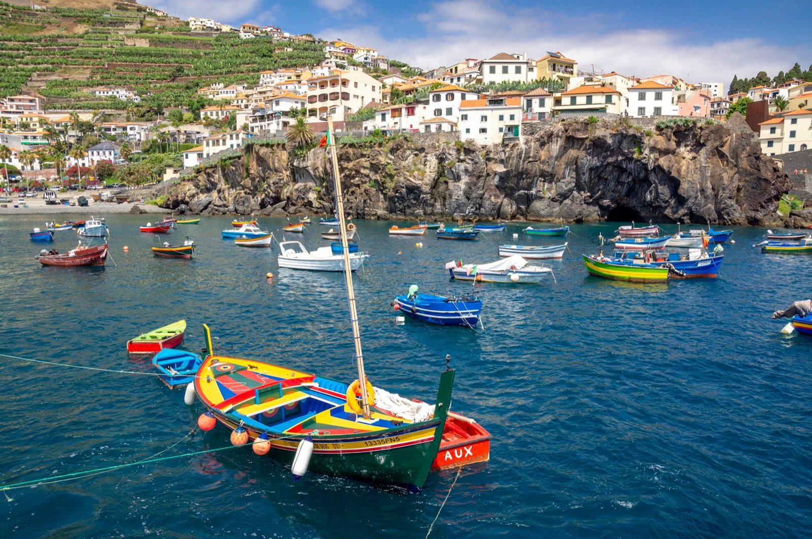 Des barques de pêche en bois aux couleurs vives mouillées dans la baie bleue de Câmara de Lobos, le village blanc et les cultures en terrasses au-dessus d’une falaise volcanique sombre.