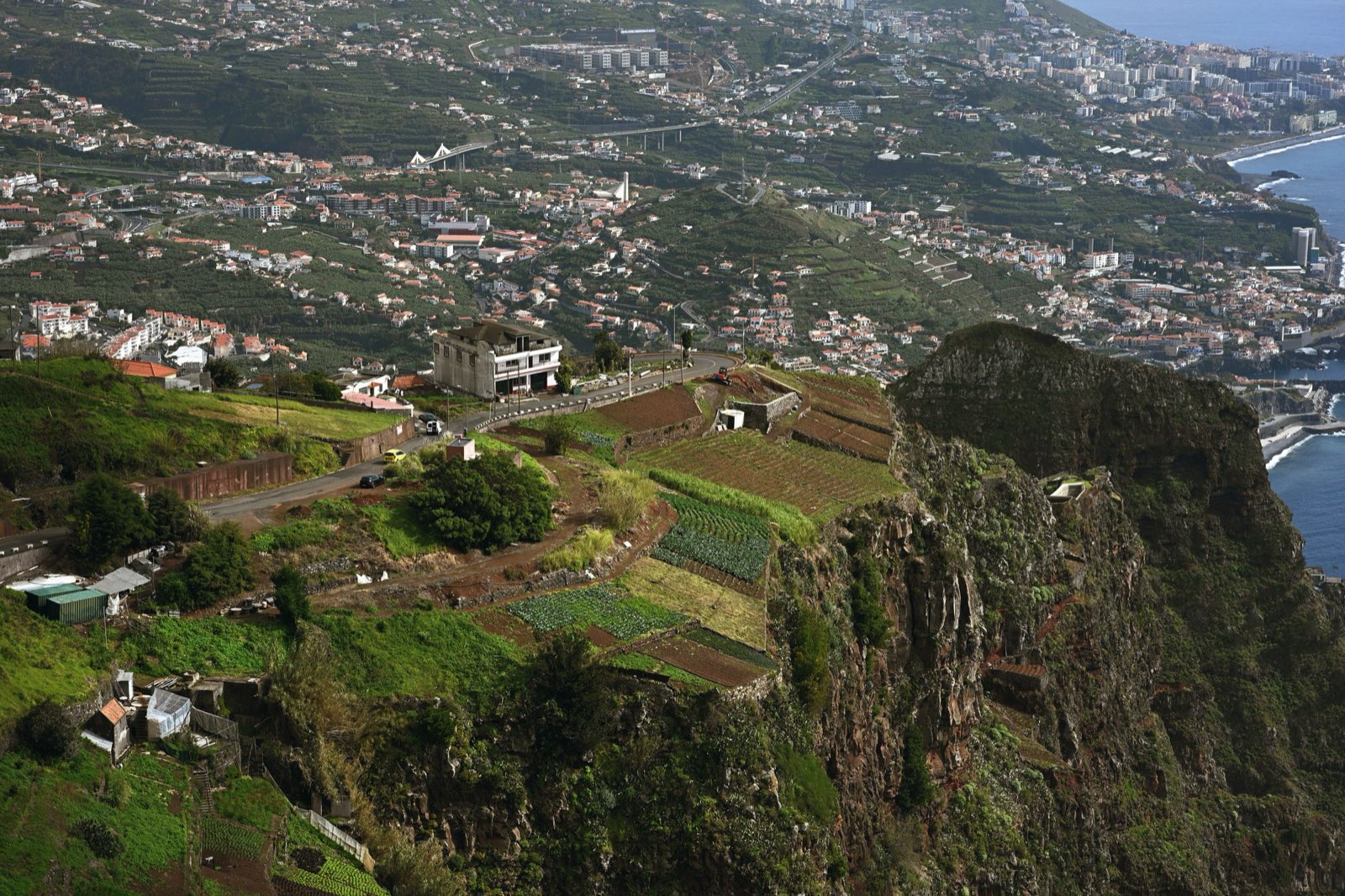 Cultures en terrasses et route côtière au bord d’une falaise à pic sur l’Atlantique, avec Câmara de Lobos et Funchal s’étirant le long du rivage derrière.